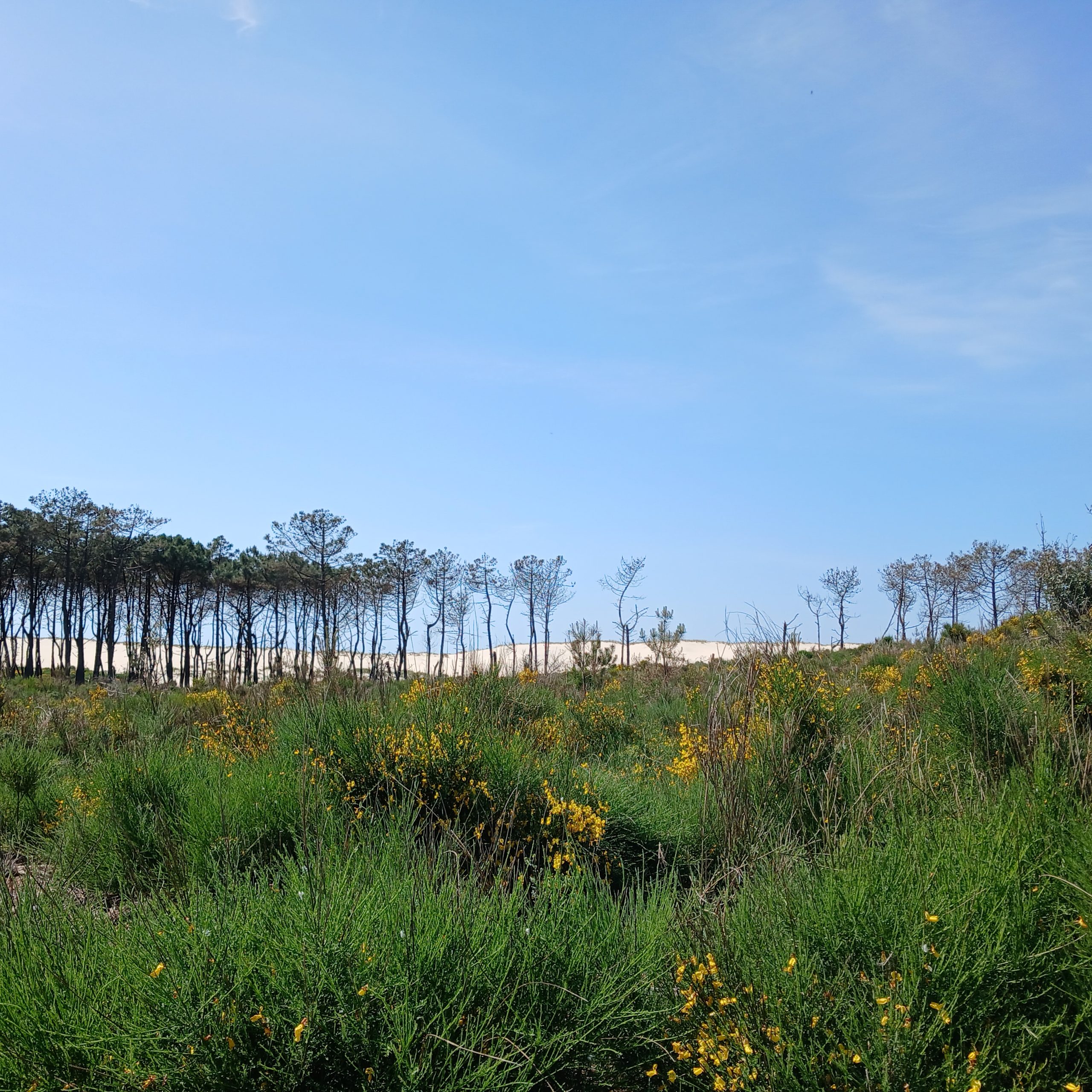 Des randonneurs partagent leurs sentiers préférés de la Pointe du Médoc