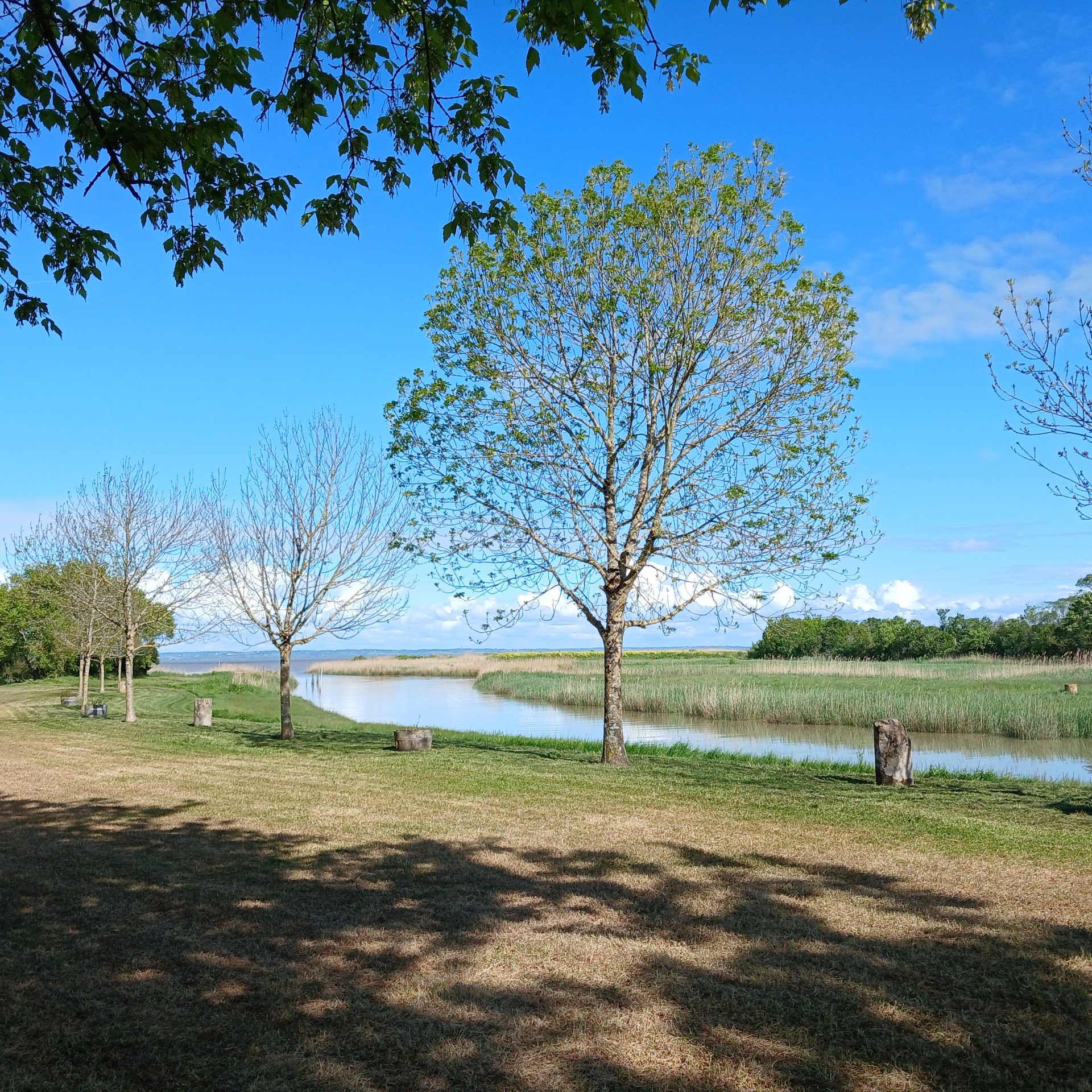 Des randonneurs partagent leurs sentiers préférés de la Pointe du Médoc